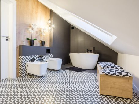 criterii_alerege_toaleta